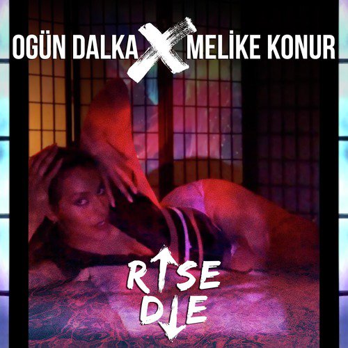 Rise Die cover art