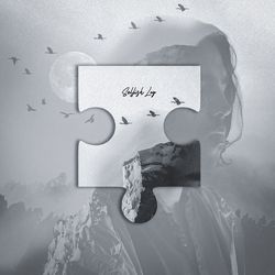 Selfish Log-BD8vfllhVEE