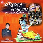 Shree Krishna Shreenathji Satsang Kirtan