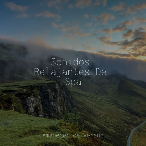 Pereza de Viento Soñador cover art