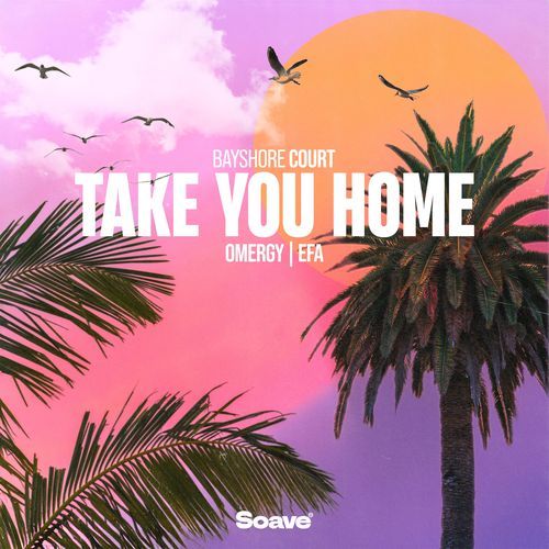 Take You Home