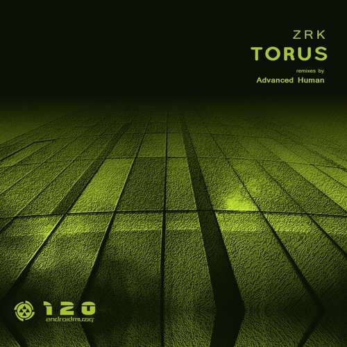 Torus