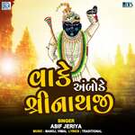 Vake Ambode Shreenathji