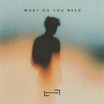 What Do You Need (Speed Garage)