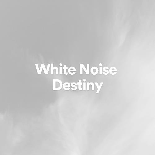 White Noise Destiny_poster_image