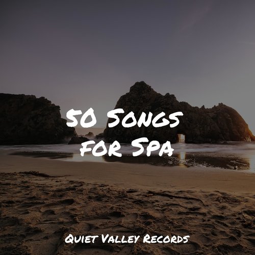 50 Songs for Spa_poster_image