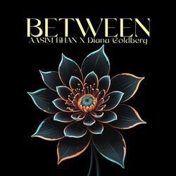 BETWEEN by Aasim Khan, Diana Goldberg