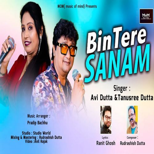 Bin Tere Sanam
