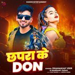Chhapra Ke Don