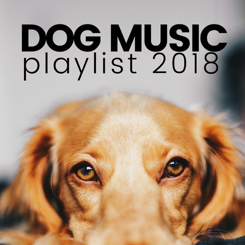 Dog Music cover art