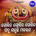 Gobinda Gobinda Gobinda