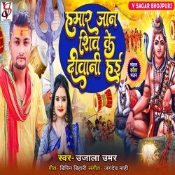 Hamar Jan Shiv Ke Diwani Haee-NDIZWQxhYEQ