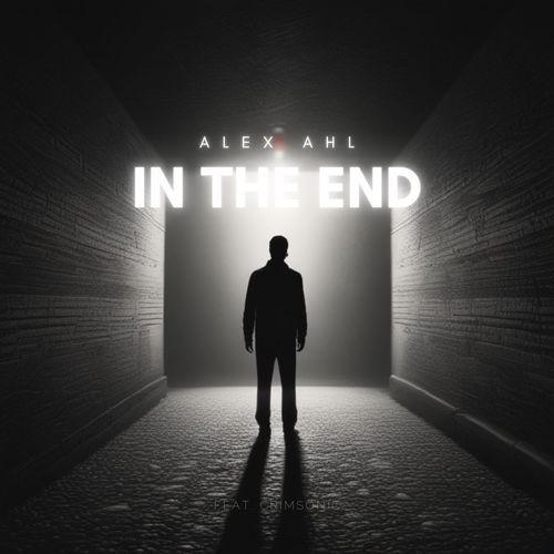 In The End (feat. Crimsonic)