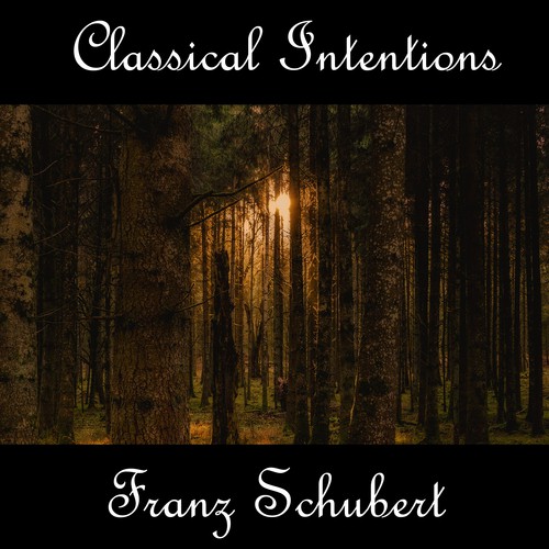 Instrumental Intentions: Franz Schubert