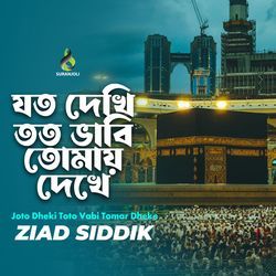 Joto Dheki Toto Vabi Tomar Dheke