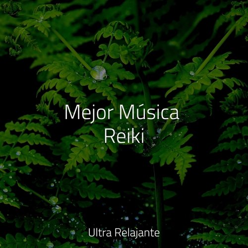 Zen Relajante cover art