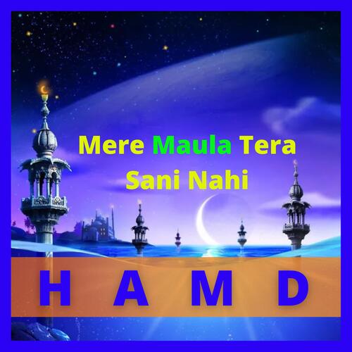 Mere Maula Tera Sani Nahi