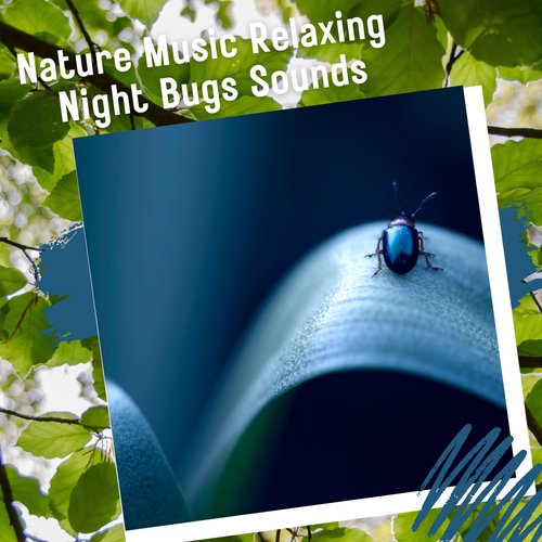 Nature Music Relaxing Night Bugs Sounds
