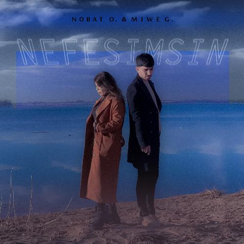 Nefesimsin cover art