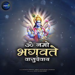 OM Namo Bhagavate Vasudevaya