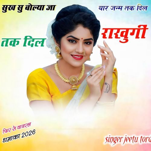 सुख सु बोल्या जा यार जन्म तक दिल राखुगीं