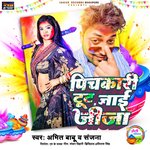 Pichkari Tut Jai Jija