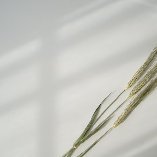 Relaxation Sounds | Meditative Music