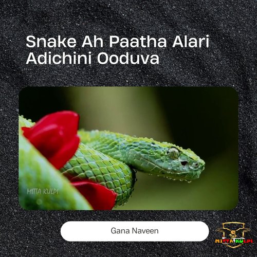 Snake Ah Paatha Alari Adichinu Oduvan
