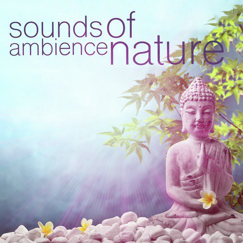 Sounds of Ambience: Nature_poster_image