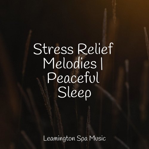 Stress Relief Melodies | Peaceful Sleep