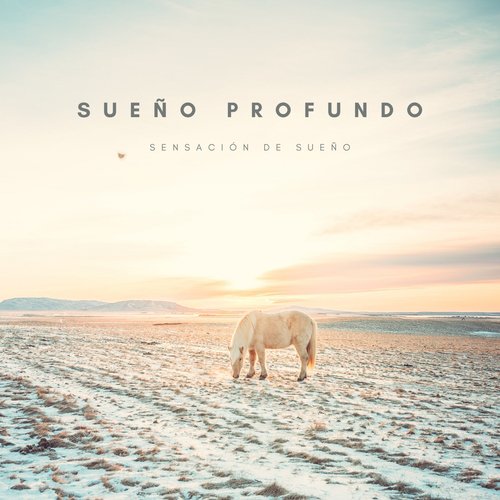 Poder Del Sueño cover art