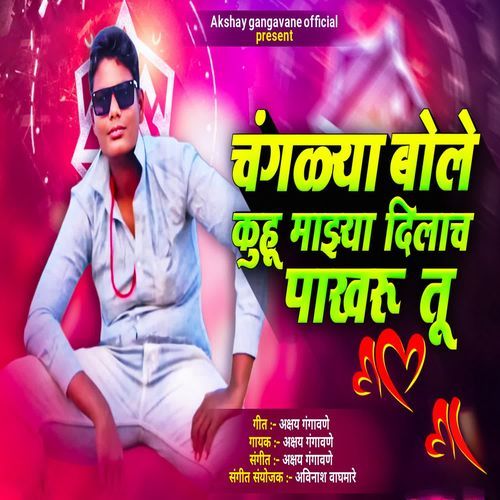 changlya bole Kuhu Majya Dilacha Pakharu Tu