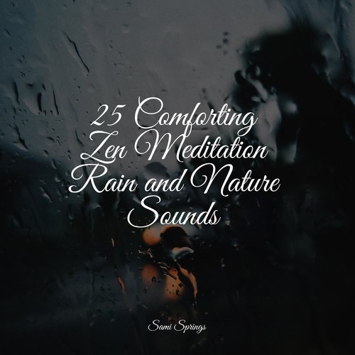 25 Comforting Zen Meditation Rain and Nature Sounds