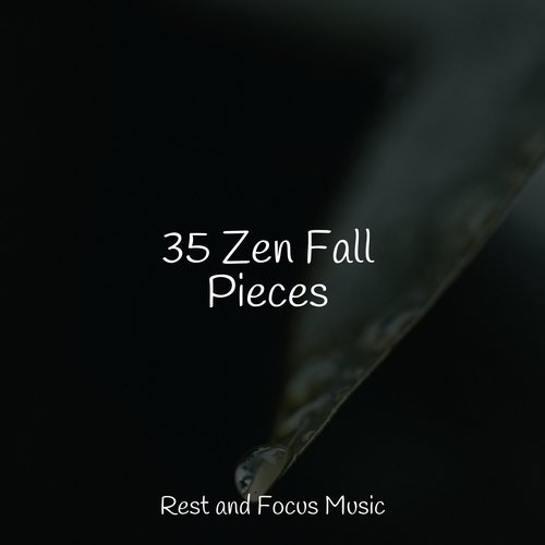 Sunset Boutique cover art