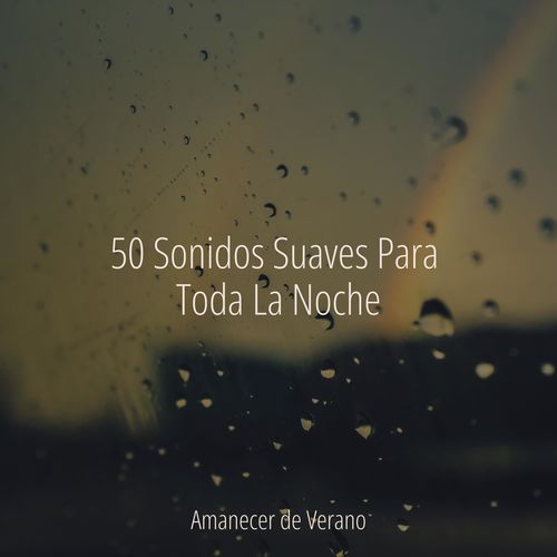 50 Sonidos Suaves Para Toda La Noche