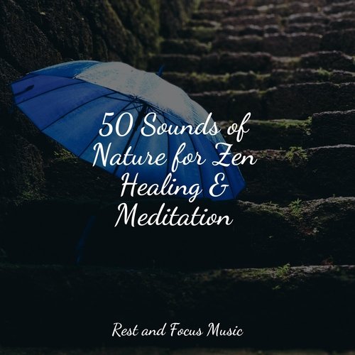 Relax Inside cover art