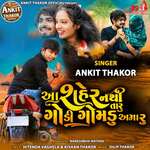 Aa Saher Nathi Taru Godi Gomdu Amaru