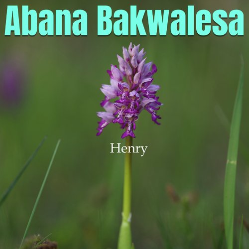 Abana Bakwalesa