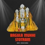Bagula Mukhi Stotram