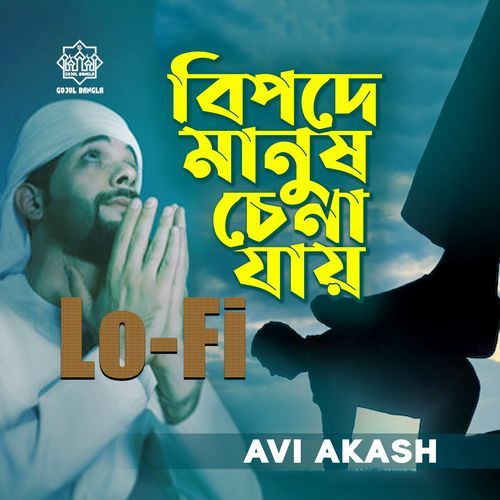 Bipode Manush Chena Jay (Lo-Fi)