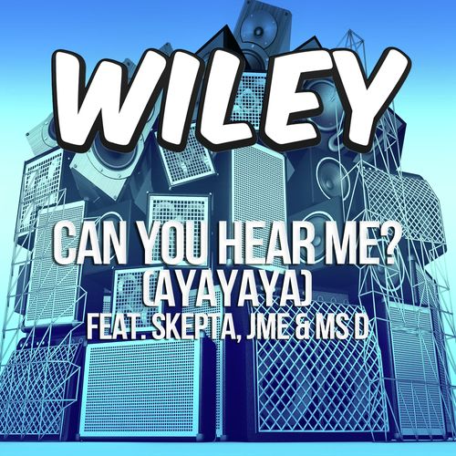 Can You Hear Me? (ayayaya) [feat. Skepta, JME & Ms D] [Adam F Remix] (Adam F Remix)