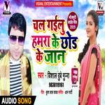 Chal Gailu Hamara Ke Chhod Ke Jaan