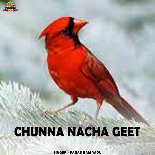 Chunna Nacha Geet