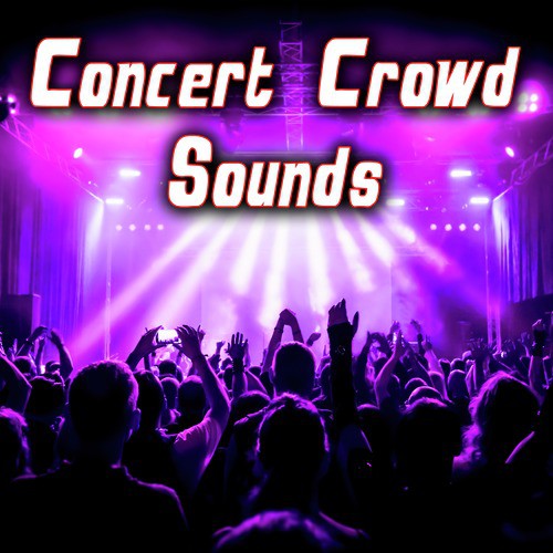 Concert Crowd Sound Effects