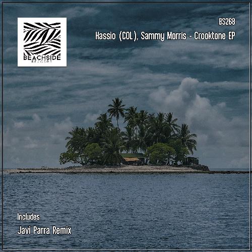 Crooktone (Javi Parra Remix) cover art