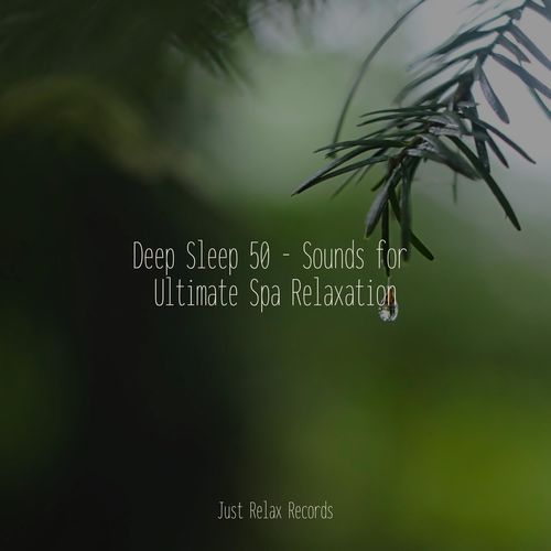 Deep Sleep 50 - Sounds for Ultimate Spa Relaxation