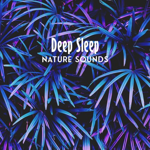 Deep Sleep Nature Sounds cover art