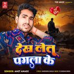 Dekh Letu Pagla Ke