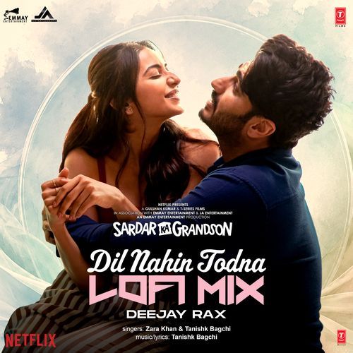 Dil Nahin Todna Lofi Mix(Remix By Deejay Rax)