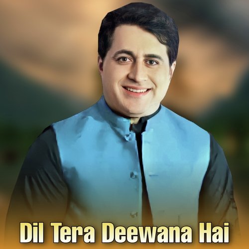 Dil Tera Deewana Hai